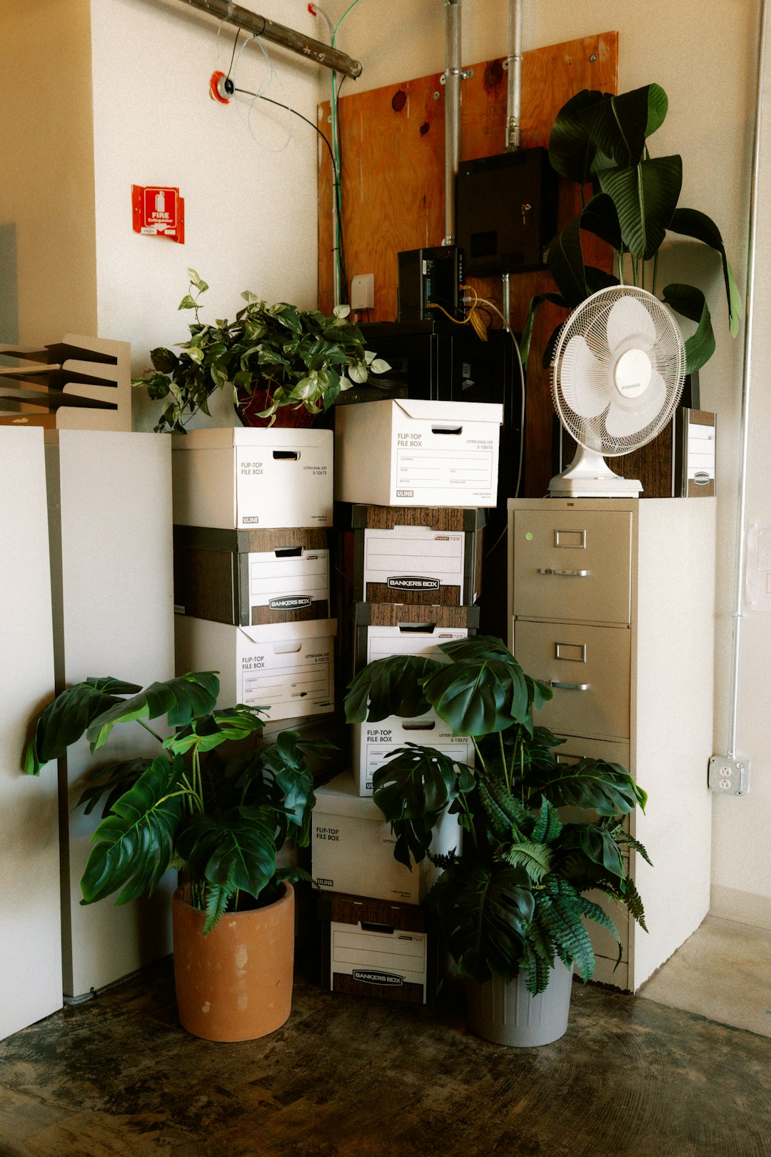 social-feed-img-05 office-corner-with-plants-boxes-and-a-fan-qbewd1if8